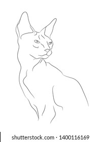 cat portrait, lines, vector, white background, cat portrait