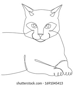 Cat portrait one line drawing on white isolated background. Vector illustration