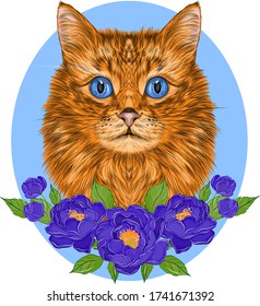 cat portrait orange white and blue flowers peonies composition blue background vector illustration