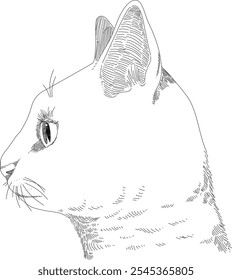 Vector de dibujo de retrato de gato, vista lateral, boceto dibujado a mano