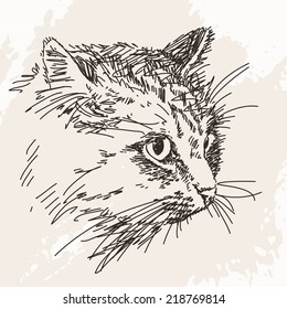 Dibujo de retrato de gato, ilustración dibujada a mano