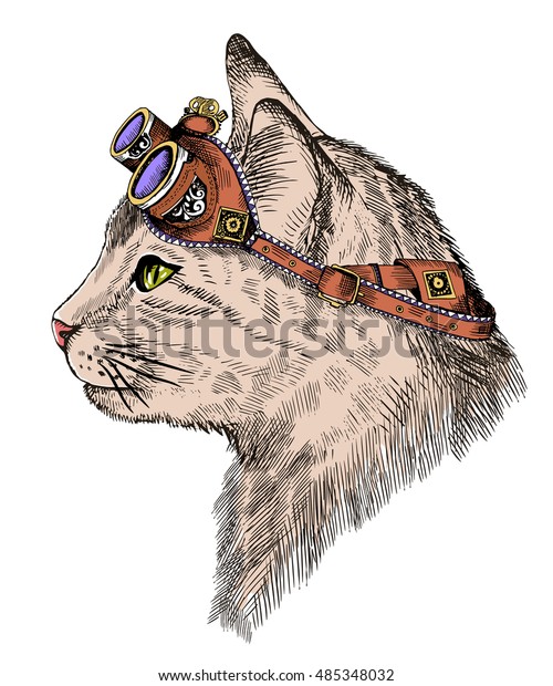 Portrait De Chat Punk A La Image Vectorielle De Stock Libre De Droits