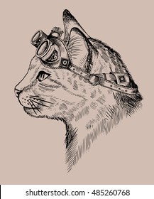 Cat, portrait steam-punk, Blue eyes, with retro glasses, in etching style, print,  isolated,drawing,  fantasy, vector, cat sketch, art, cat punk cute