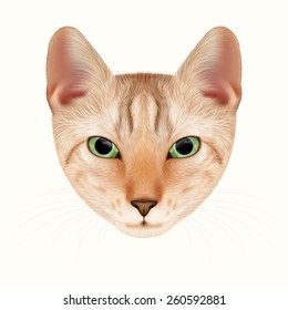 Cat Portrait. Vector Hand-drawn Illustration.