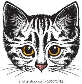 Cat portrait: Vector sketch of a stylized kitten's face