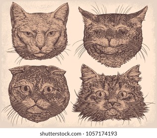 Cat portraits. Design set. Hand drawn engraving. Vector vintage illustration. 8 EPS