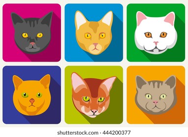 Cat portraits vector collection. Set of head cat and muzzle of cats with eyes and whisker illustration