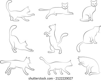 cat pose outline set by vector design