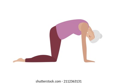 Cat Pose. Senior Woman Doing Yoga. Woman In Sportswear Doing Floor Exercises. Elderly Women Healthy Life Style Concept. Active Lifestyle. Marjariasana In Old Age. Healthy Retirement Lifestyle