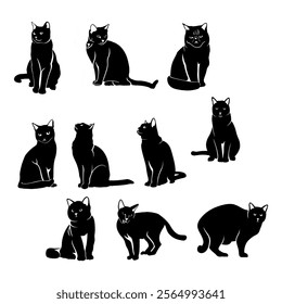 Cat pose vector file stock