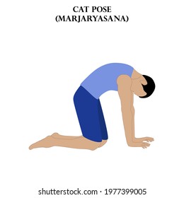 Cat pose yoga workout. Marjaryasana. Man doing yoga illustration on the white background. Vector illustration