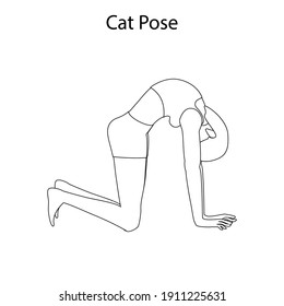 Cat pose yoga workout outline on the white background. Vector illustration