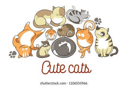 Cat poses cartoon cute kitten pets poster