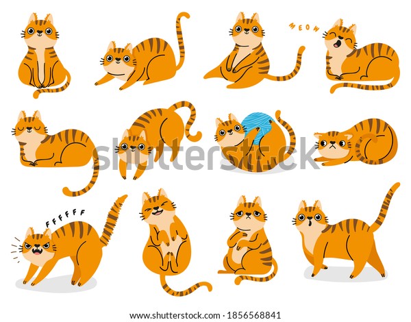 Cat\
poses. Cartoon red fat striped cats emotions and behavior. Animal\
pet kitten playful, sleeping and scared. Cat body language vector\
set. Illustration pet cat, cute striped animal\
kitten