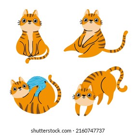 Cat Poses Collection Cute Pet Sitting Stock Vector (Royalty Free ...