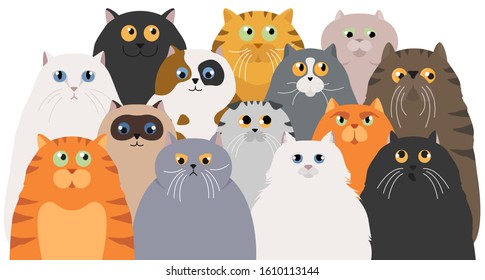 Cat poster. Cartoon cat characters collection. Different cat`s poses and emotions set. Flat color simple style design. Vector illustration