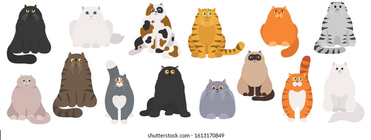 Cat poster. Cartoon cat characters collection. Different cat`s poses and emotions set. Flat color simple style design. Vector illustration