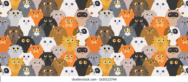 Cat poster. Cartoon cat characters seamless pattern. Different cat`s poses and emotions set. Flat color simple style design. Vector illustration