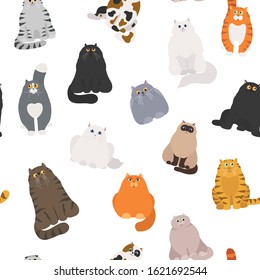 Cat poster. Cartoon cat characters seamless pattern. Different cat`s poses and emotions set. Flat color simple style design. Vector illustration