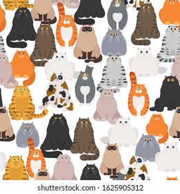Cat poster. Cartoon cat characters seamless pattern. Different cat`s poses and emotions set. Flat color simple style design. Vector illustration