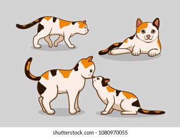 Cat with its posture