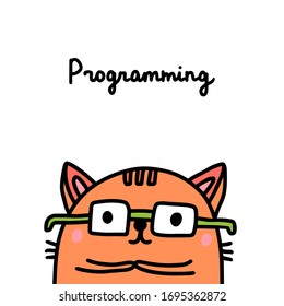 Cat programming coding hand drawn vector illustration in cartoon comic style cute animal domestic profession orange glasses