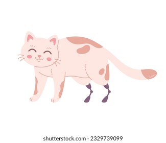 Cat with prosthetic hind legs. Disabled cat, veterinary medicine veterinary clinic, sick cat. Vector illustration in flat style