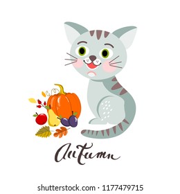 Cat with a pumpkin and autumn fruit, vector illustration
