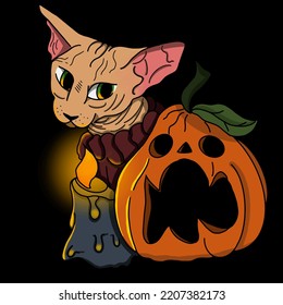 cat pumpkin and candle for halloween illustration