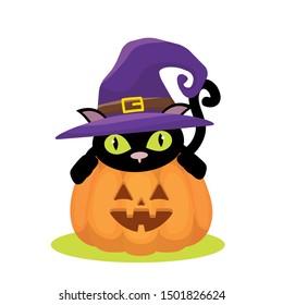 Cat and pumpkin cartoon design, Halloween holiday horror scary celebration autumn dark and party theme Vector illustration