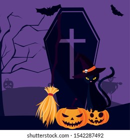Cat and pumpkin cartoon design, Halloween holiday horror scary celebration autumn dark and party theme Vector illustration