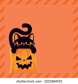 cat with pumpkin halloween, banner layout