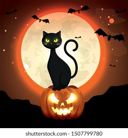 cat in pumpkin of halloween in the dark night