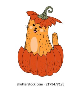 Cat in a pumpkin. Halloween. Red funny cat. pumpkin. Autumn. Flat illustration. Vector.