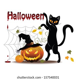 Cat and pumpkin with Halloween text on white background