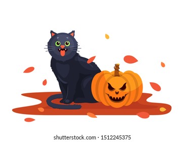 cat pumpkin orange leaves emotion boo cartoon cute white background