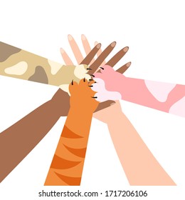 The cat put a paw on the mans hand. Multicolored paws of cats on the hands of man. Friendship between cat and owner. Flat vector illustration isolated on white background.