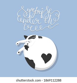 Cat and Quote surprise under the tree. Isolated on blue background. Hand written  lettering. Vector illustration. New year, Christmas celebration. Poster, print and card design. 