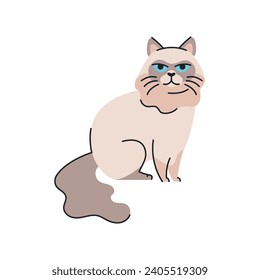 The cat ragdoll is standing color element. Cartoon cute animal. Hand draw vector illustration isolated.  