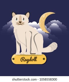 Cat ragdoll under the light of the moon