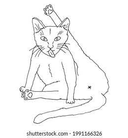 Cat with raised paw cleaning illustration. Vector black and white pet simple hand drawn clip art sketch.