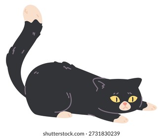 Cat ready to jump pose with lifted up tail