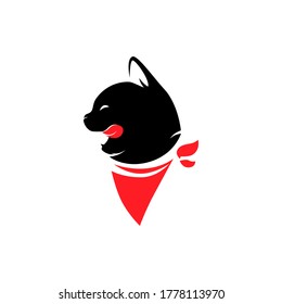 Cat with red bandana portrait symbol on white backdrop. Design element