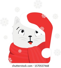 a cat in a red cap catches snowflakes with his tongue