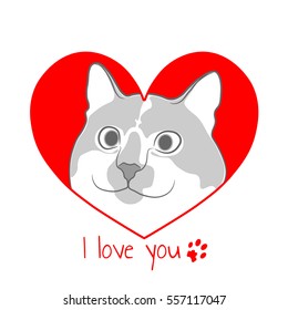 Cat in red heart. Valentine card.