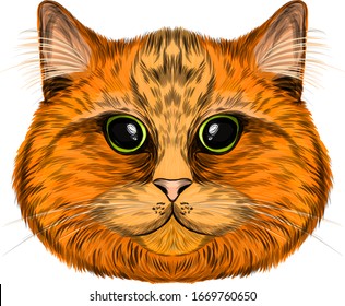 retrato rojo gato cabeza naranja graciosa ilustración vectorial