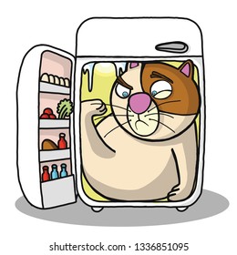 cat refrigerator surprise