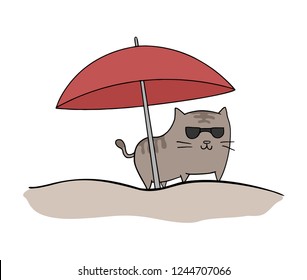 cat relax in beach