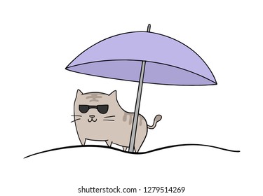 cat relax in beach