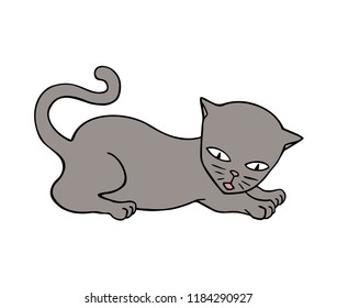 cat in relax pose